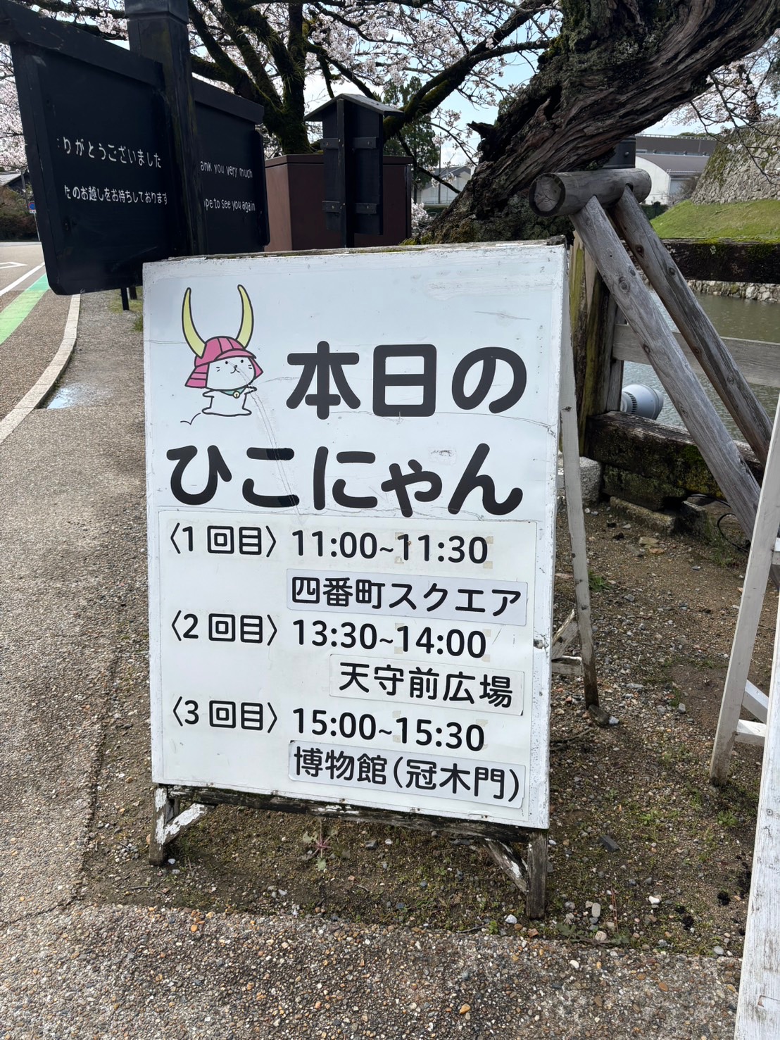 「本日のひこにゃん」の登場案内の看板