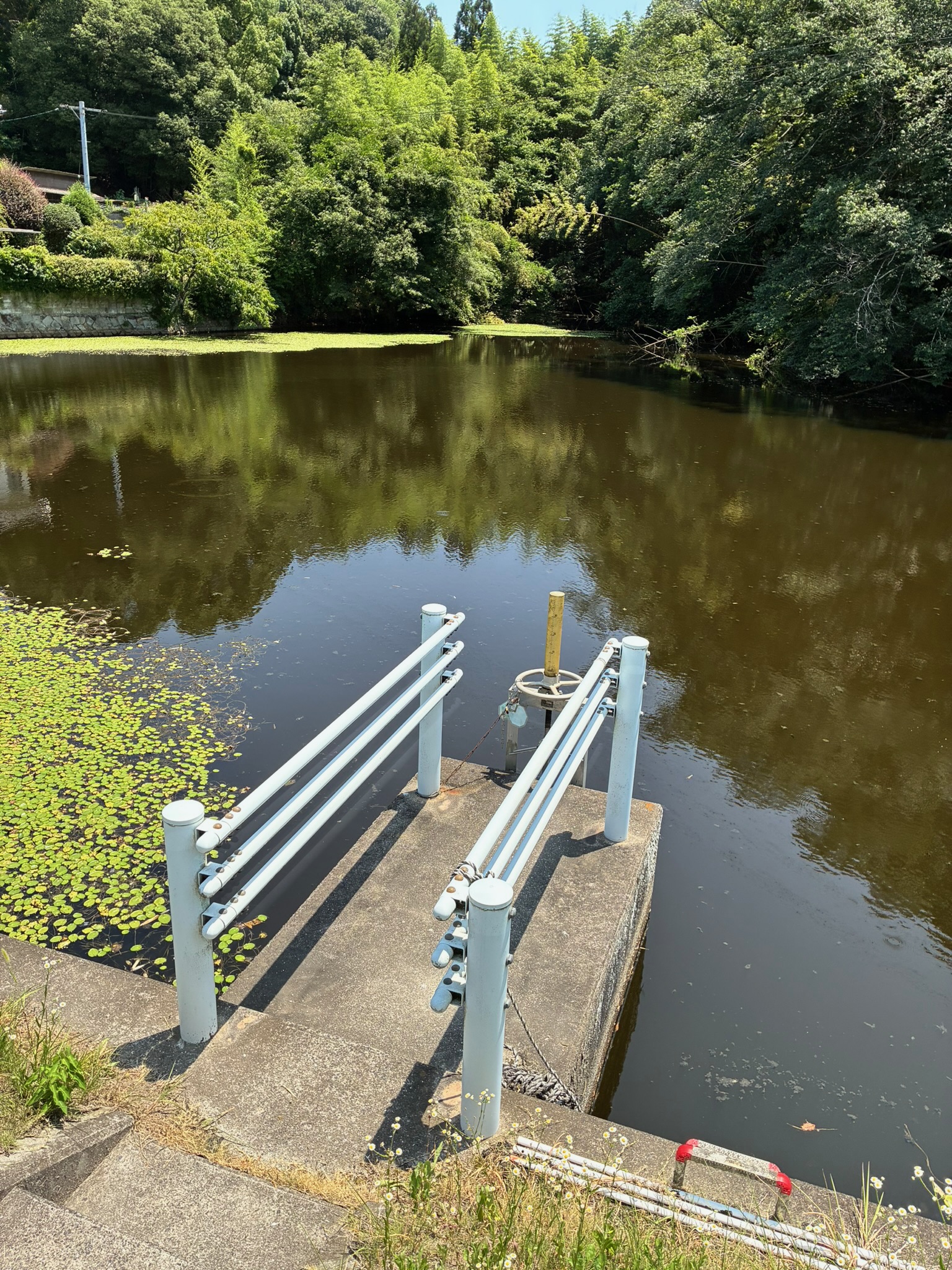 里庄町の野宮池